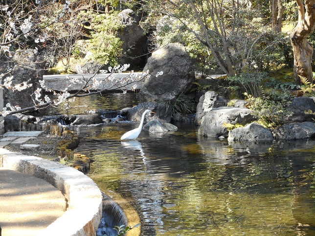 神嶽山の日本庭園の写真