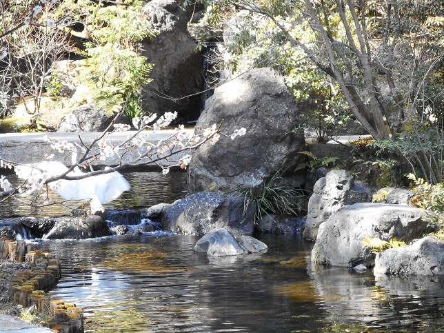 神嶽山の日本庭園 羽を広げる大きな白い鳥の写真