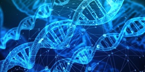DNAの画像