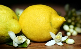 レモンの花とレモンの果実の写真